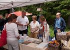 DSC 1505 redigerad-1